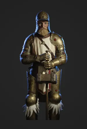 The Paladin class portrait, rendered from client character art.